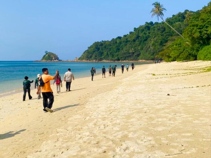 Sea turtle nesting beach, Pantai Derdap